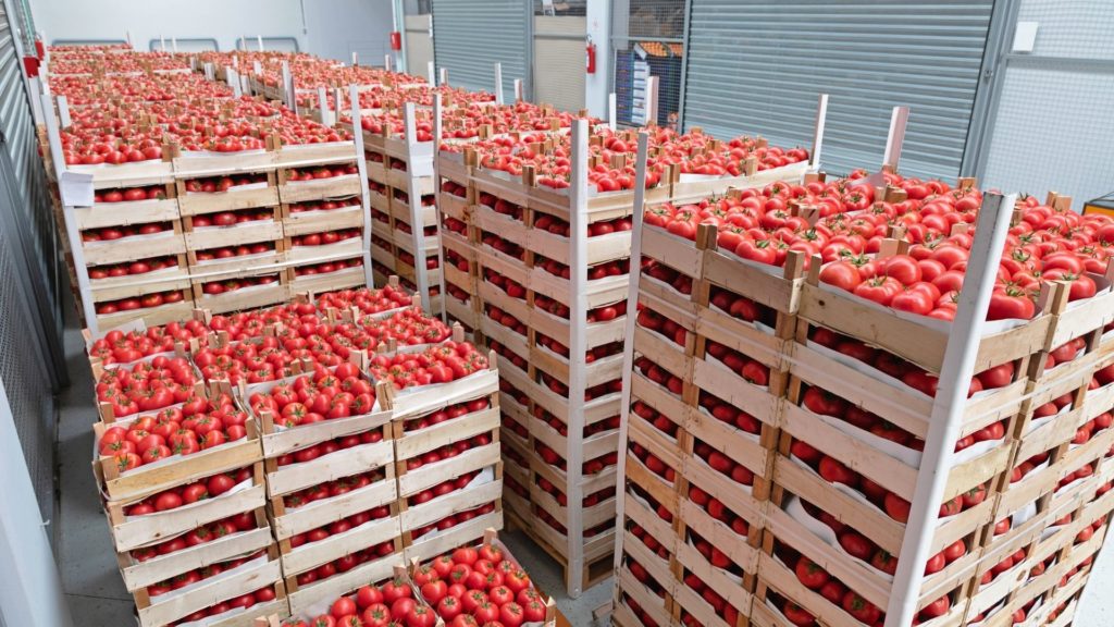 stockage frigorique fruits et légumes je stocke