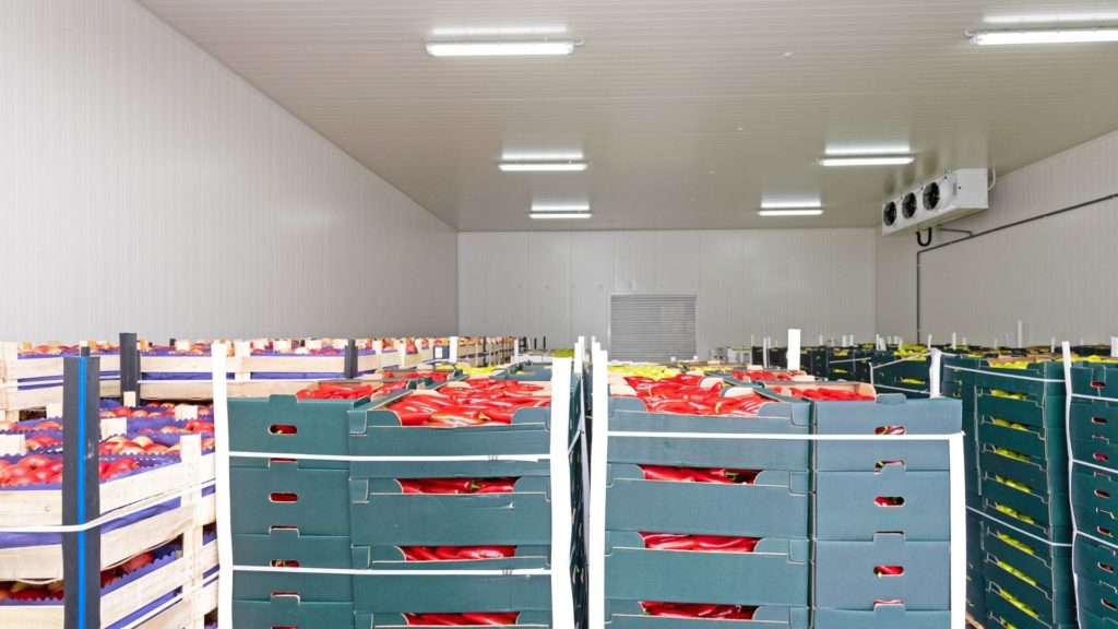 stockage frigorique fruits et légumes je stocke