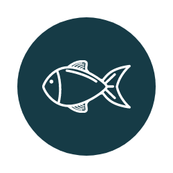 stockage logistique poisson stockage frigorifique